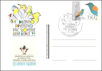 9. DRŽAVNO PRVENSTVO PTIC SLOVENIJE